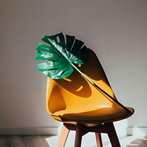 project-image